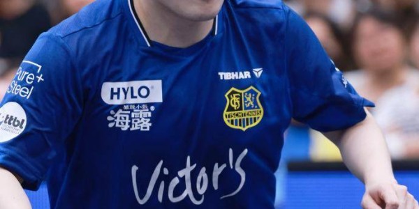 樊振东立功！德甲升至第三，距榜首仅差2分